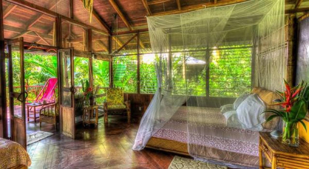 Iguana Resort 2*