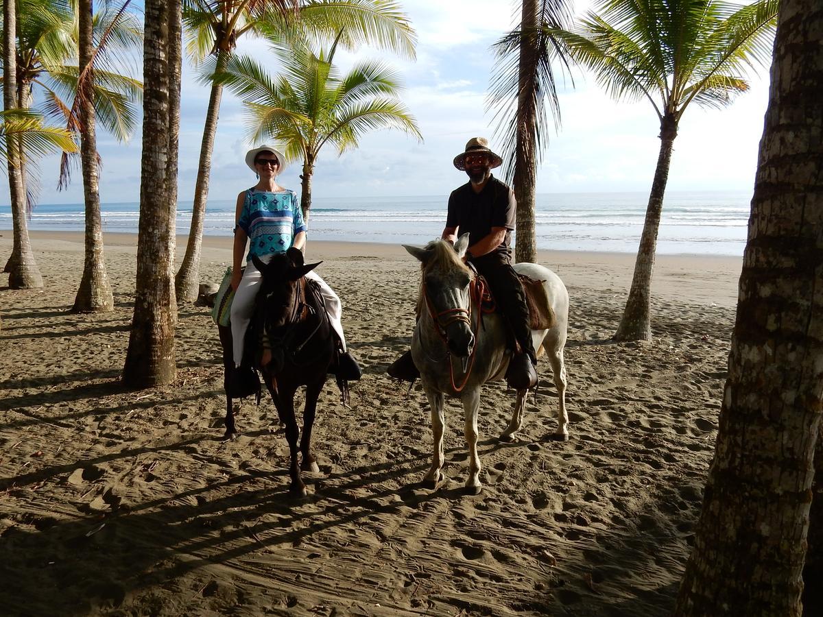 Dos Palmas Beach Front Bed & Breakfast