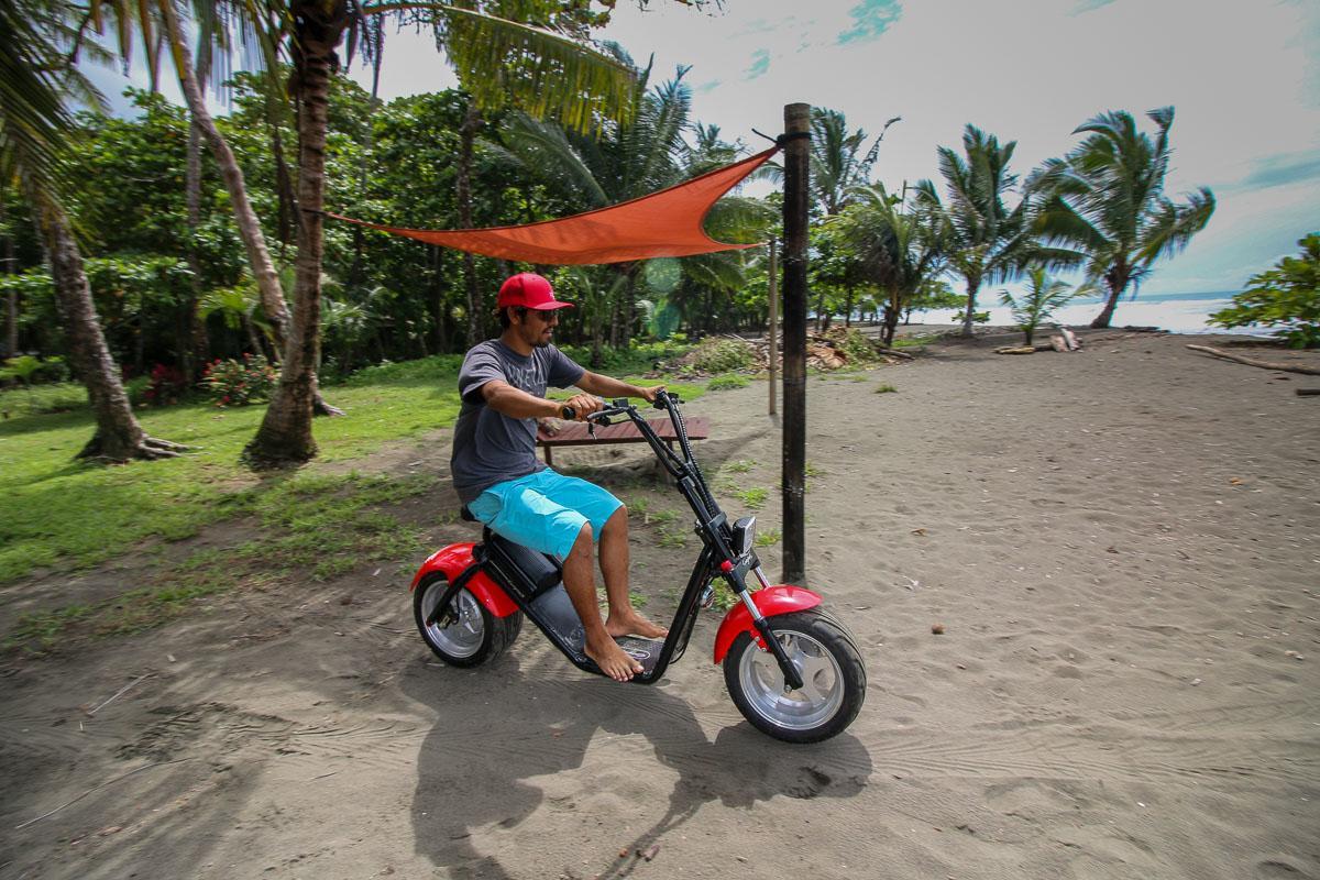 Dos Palmas Beach Front Bed & Breakfast Matapalo (Puntarenas)