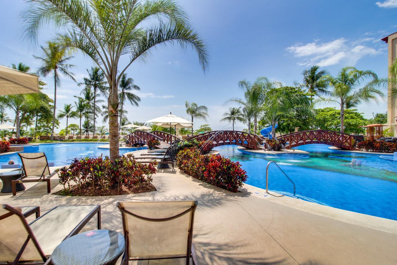The Palms 703