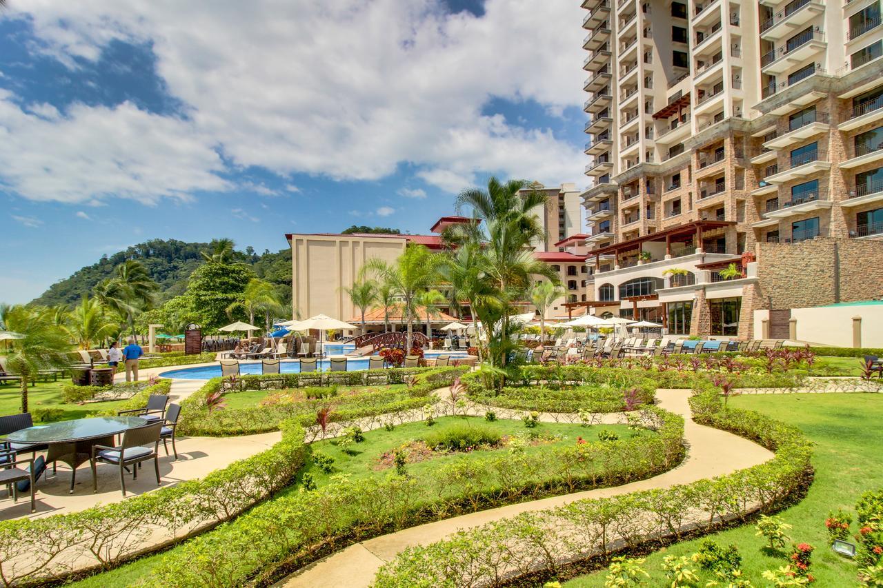 The Palms 703