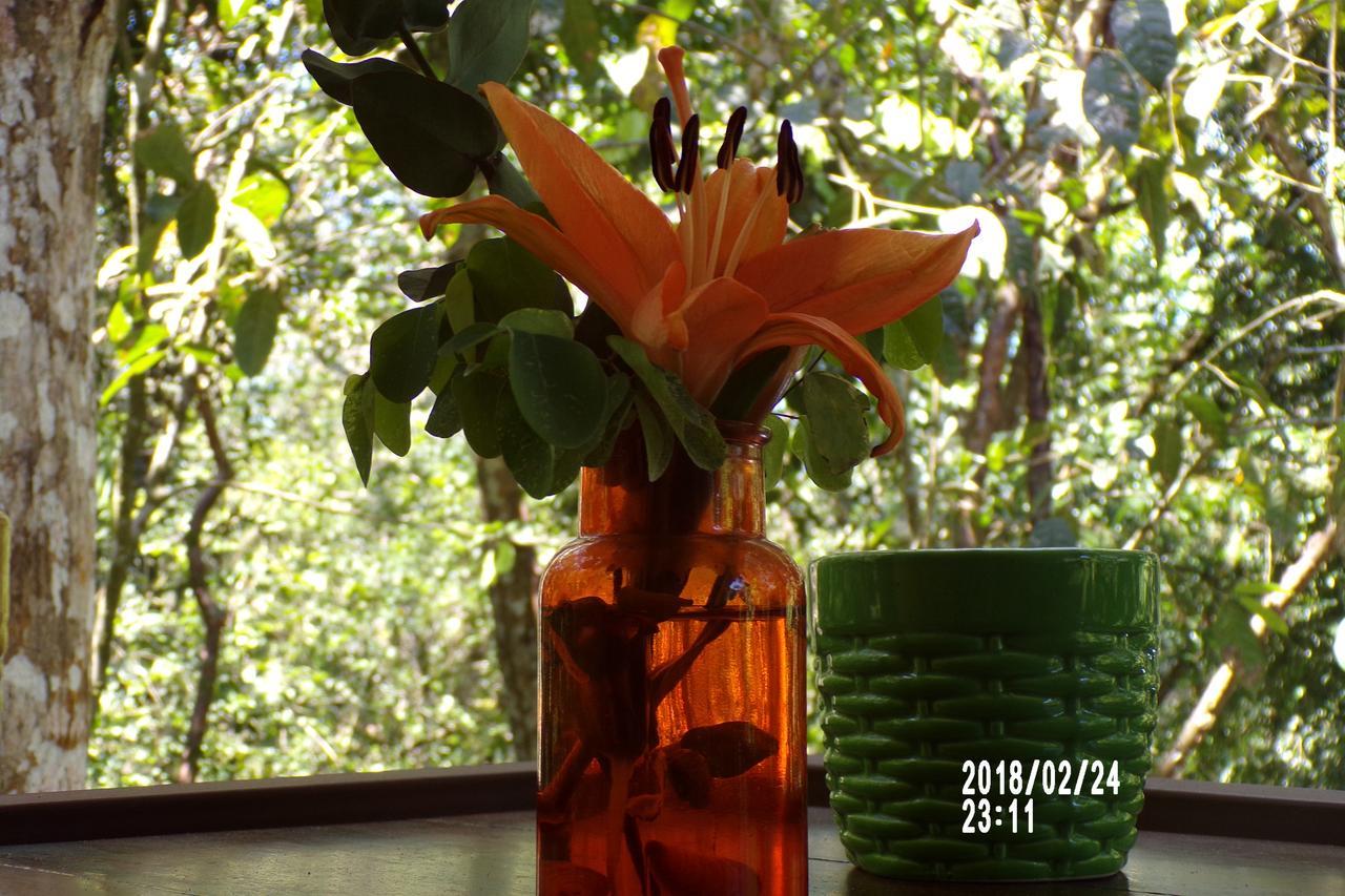 Bed & Breakfast Mycasa's Manuel Antonio
