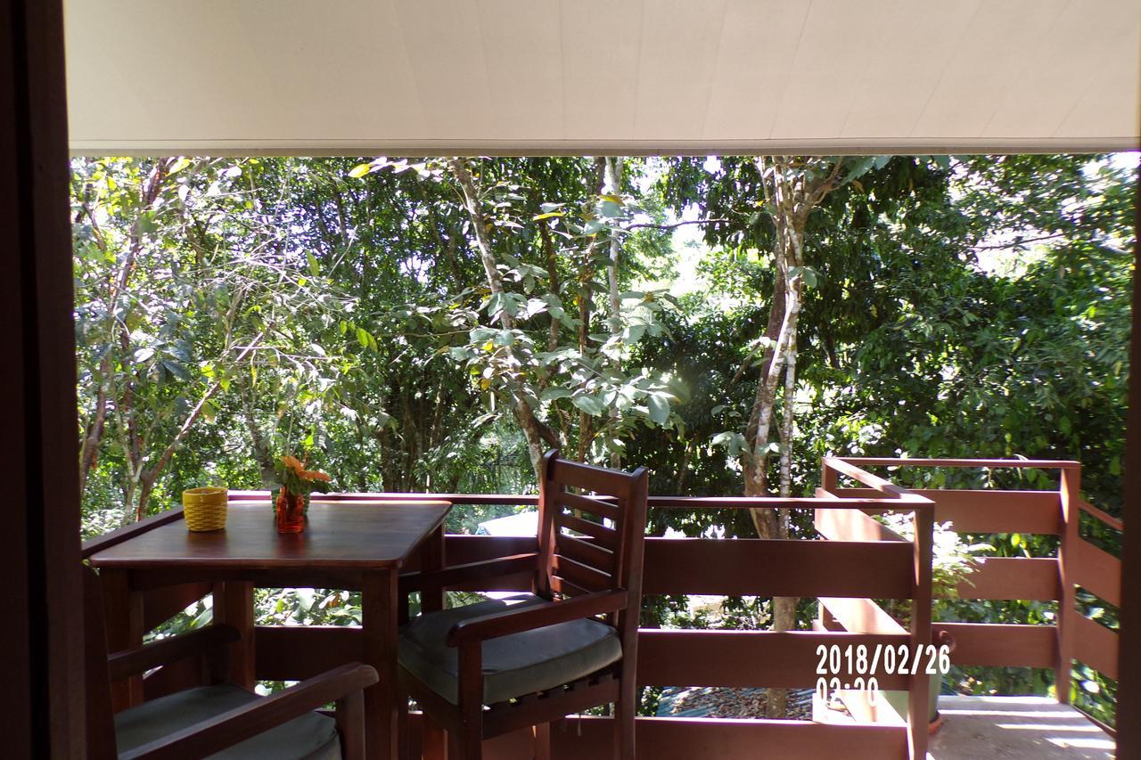 Bed & Breakfast Mycasa's Manuel Antonio