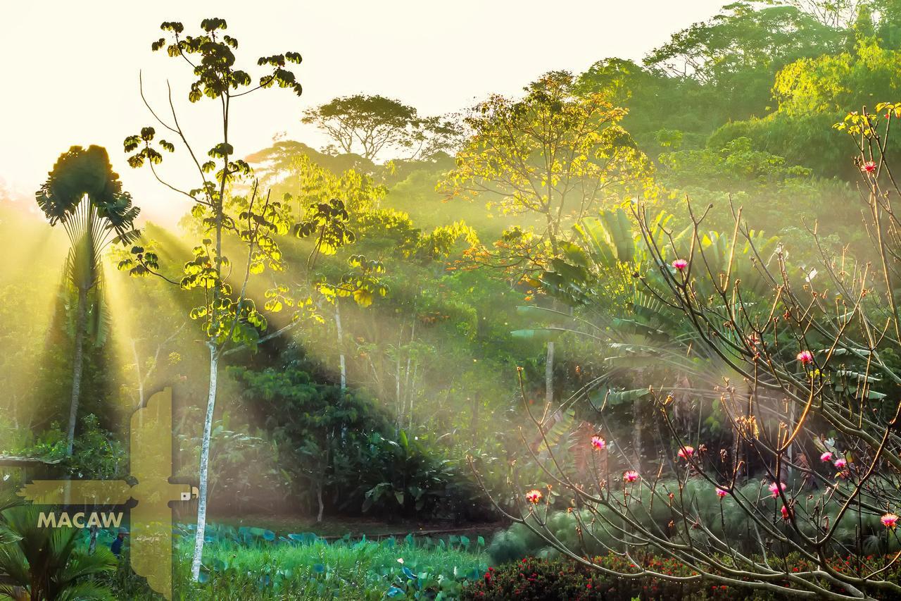 Macaw Lodge Carara