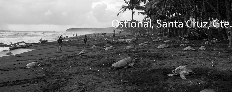 Hostel Cabinas Surf Arribadas Ostional Wildlife Refuge