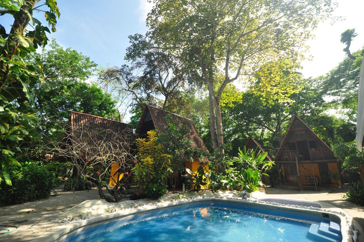 Howler Monkey Hotel