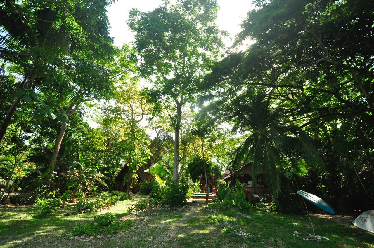 Howler Monkey Hotel 2*