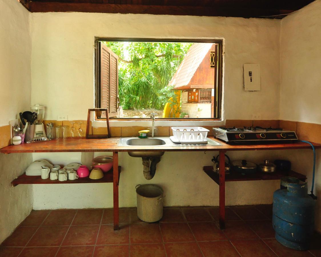 Howler Monkey Hotel Montezuma