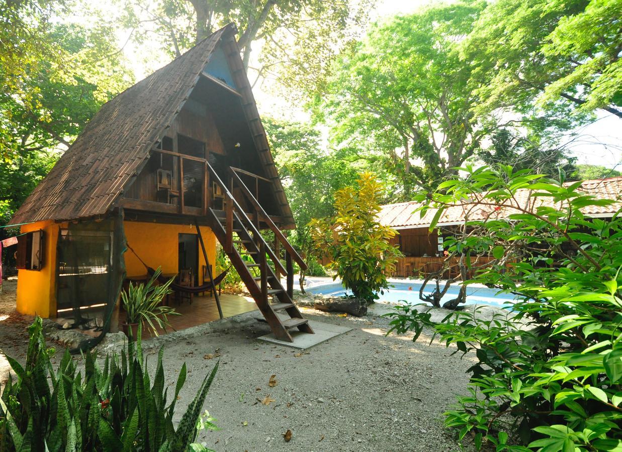 Howler Monkey Hotel