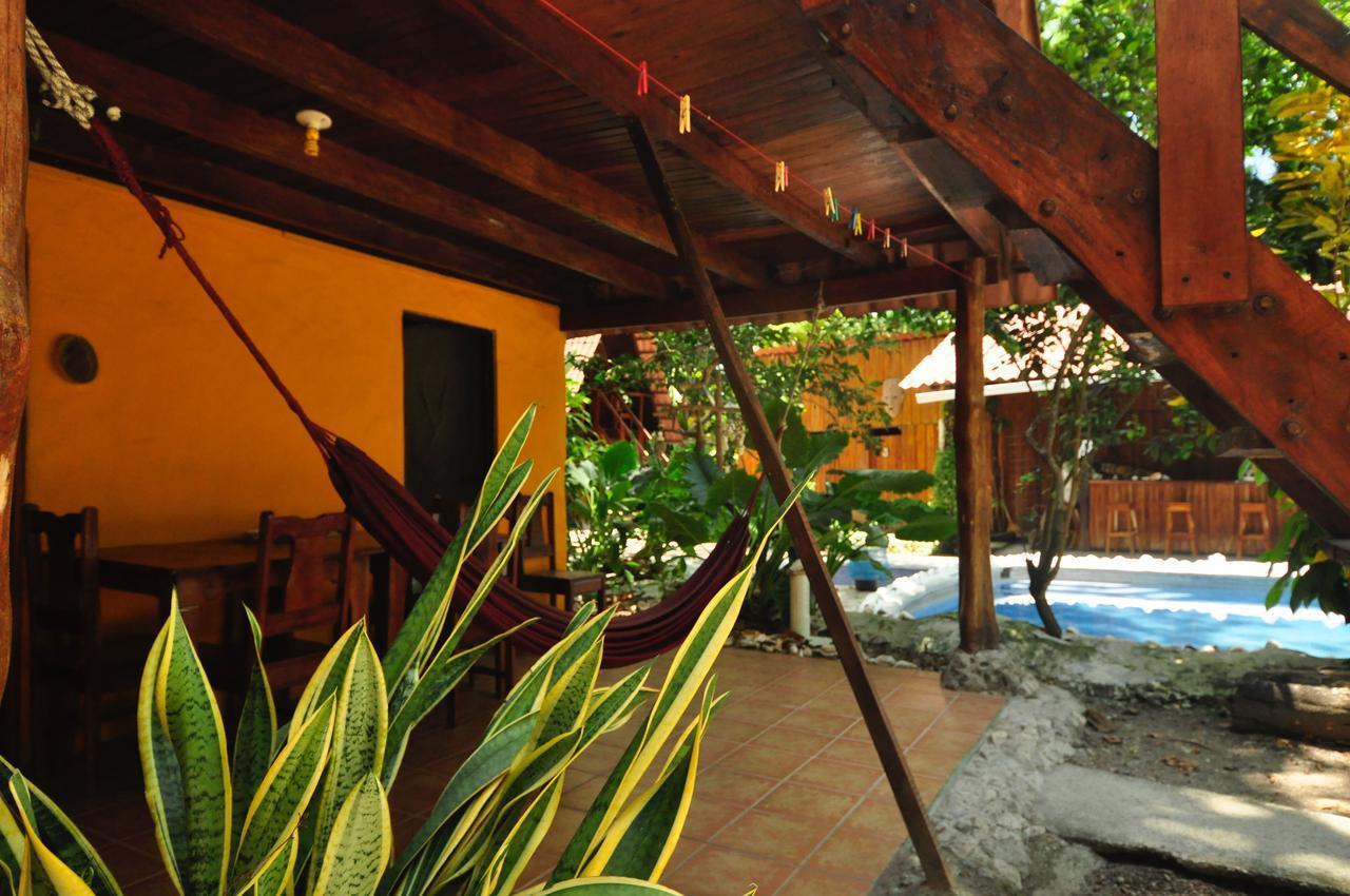 Hotel Howler Monkey