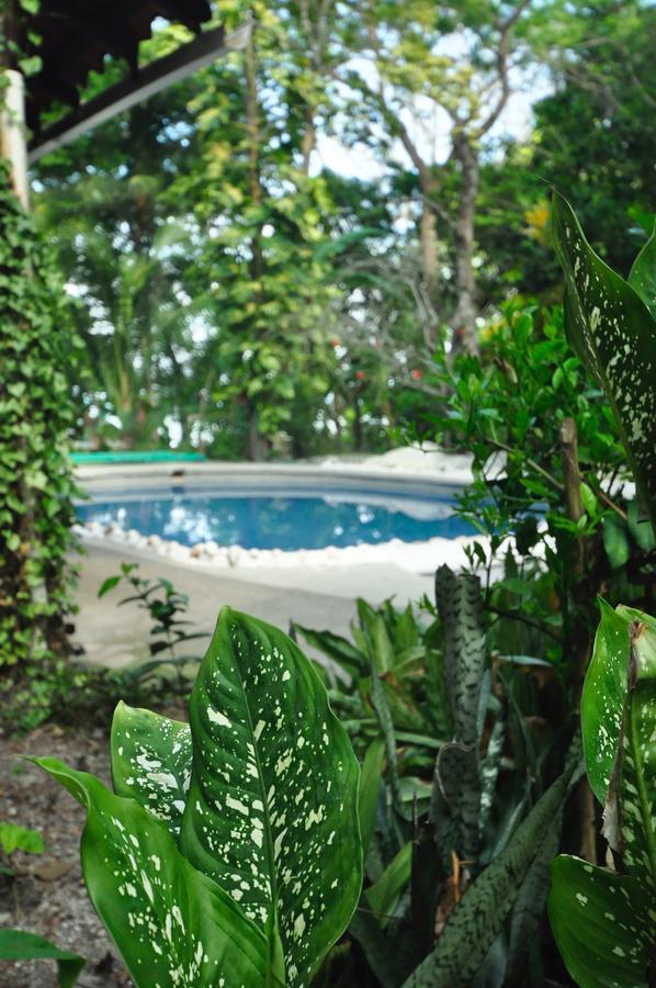 Hotel Howler Monkey