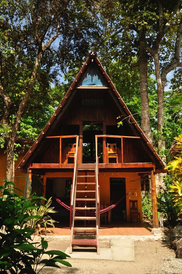 Howler Monkey Hotel