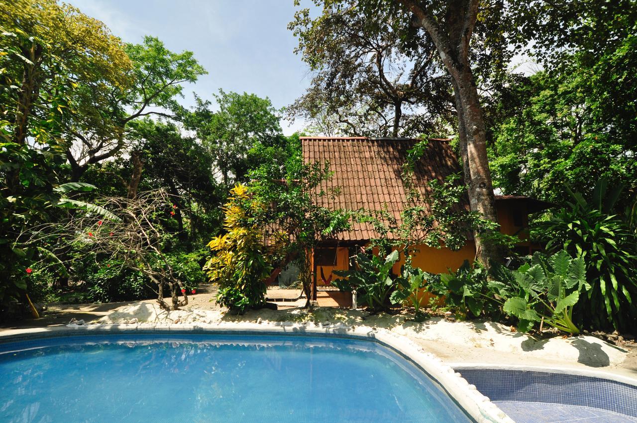 Hotel Howler Monkey 2*