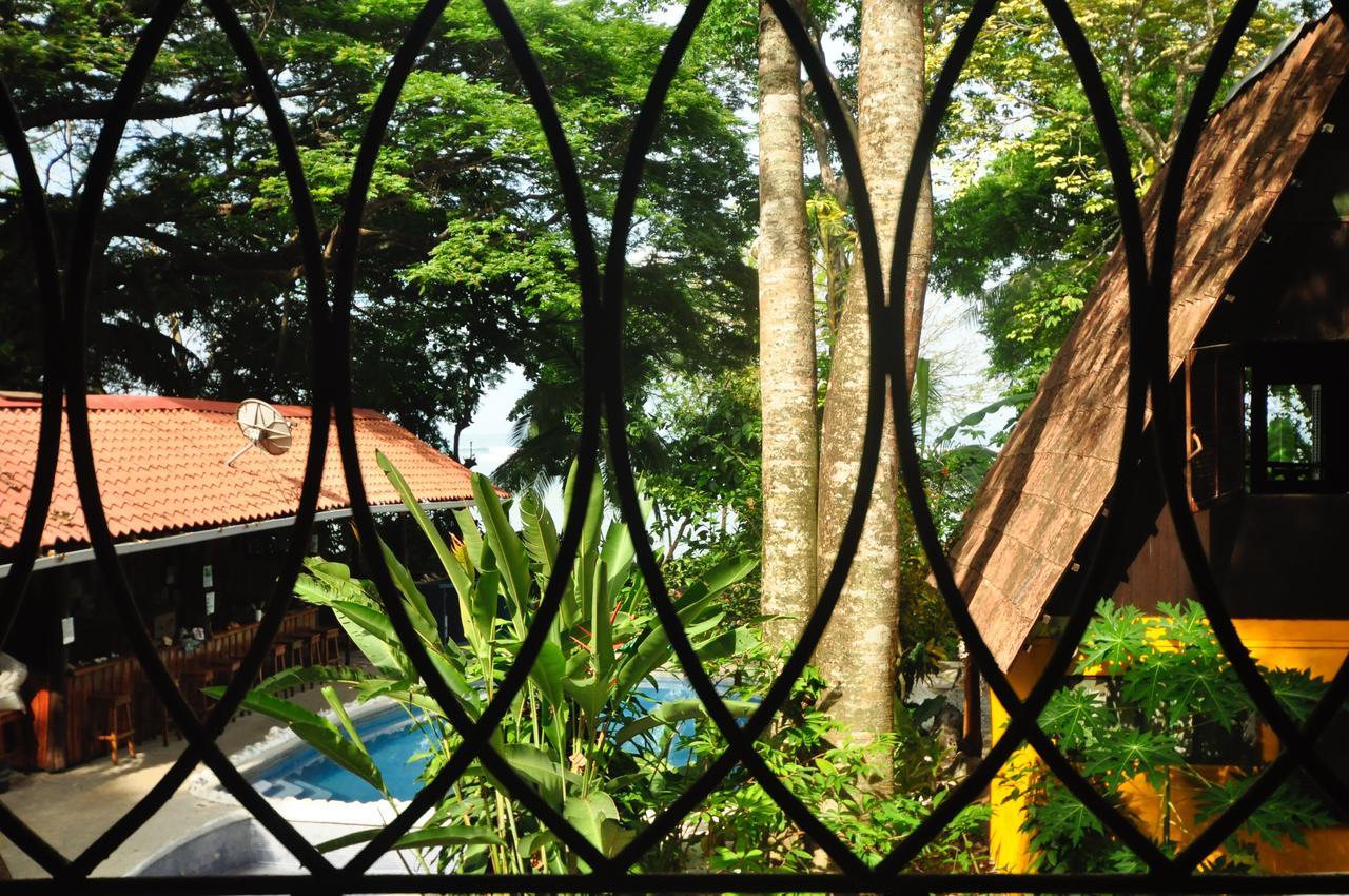 Howler Monkey 2* Montezuma