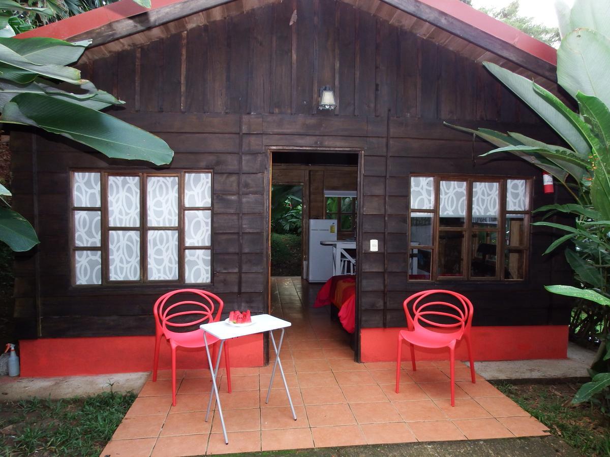 Selva Color - Forest & Lodge *