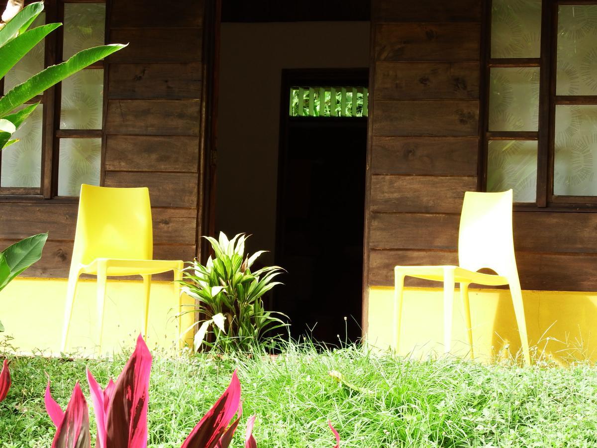 Selva Color - Forest & Lodge *