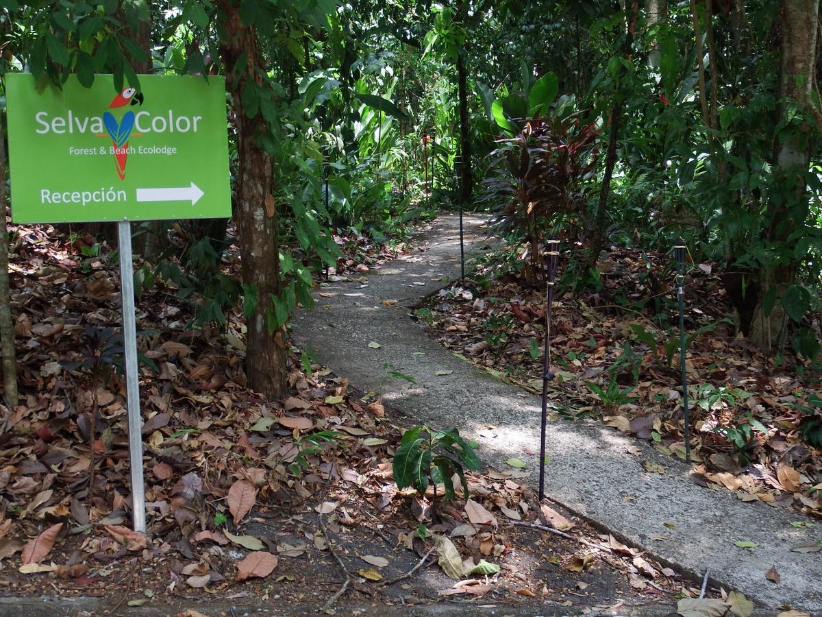 Lodge Selva Color - Forest &