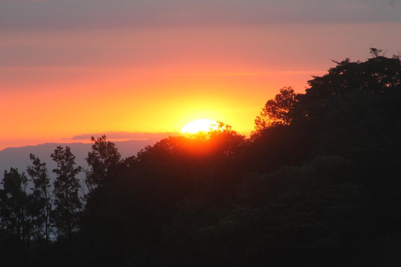 Hotel Bosque Monteverde