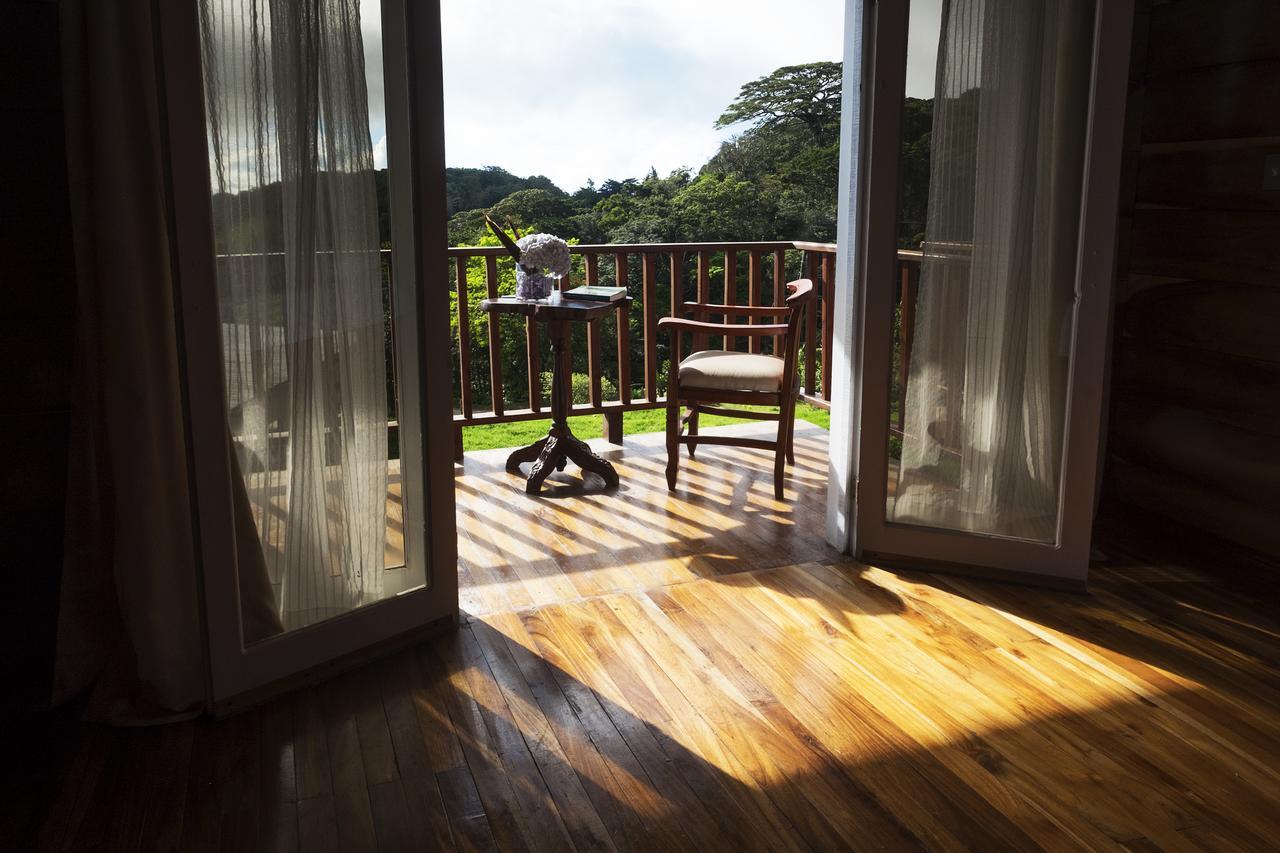 Hotel Bosque