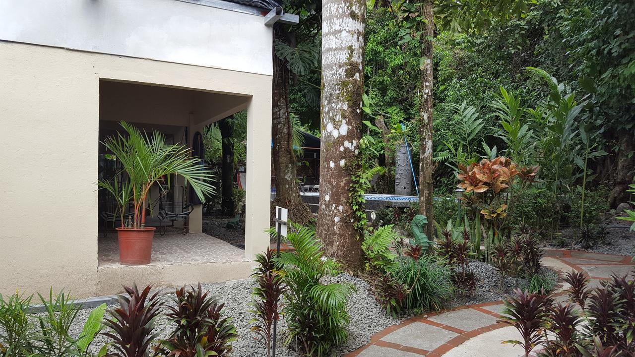 La Jungle Hotel 2*