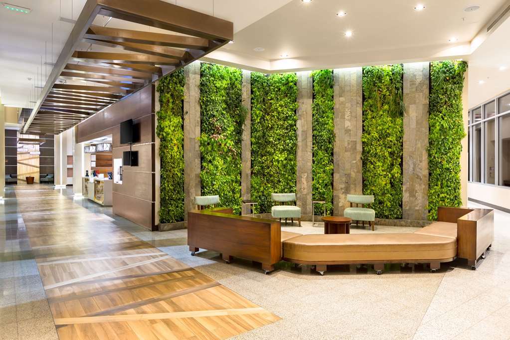 Hilton Garden La Sabana, Costa Rica 3* San Jose (San Jose)