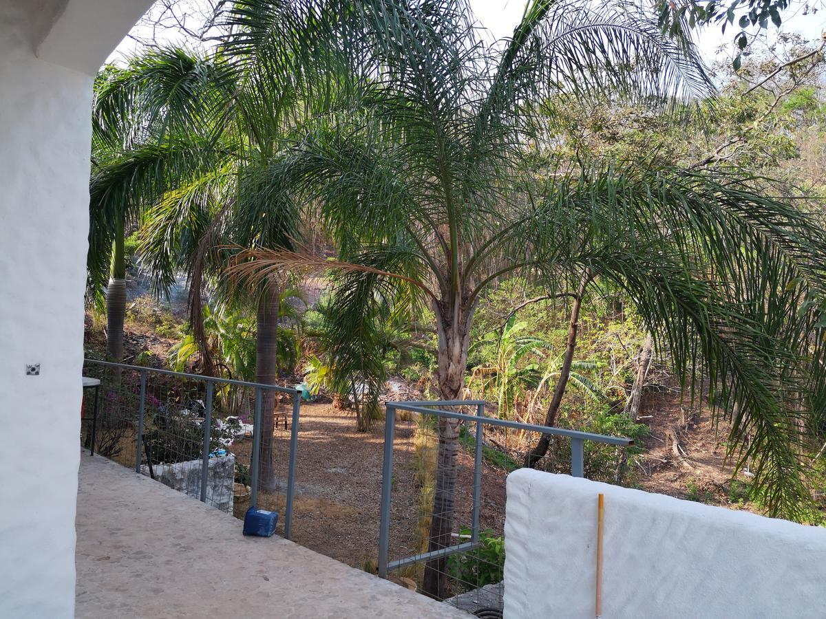 Casandreas * GUANACASTE