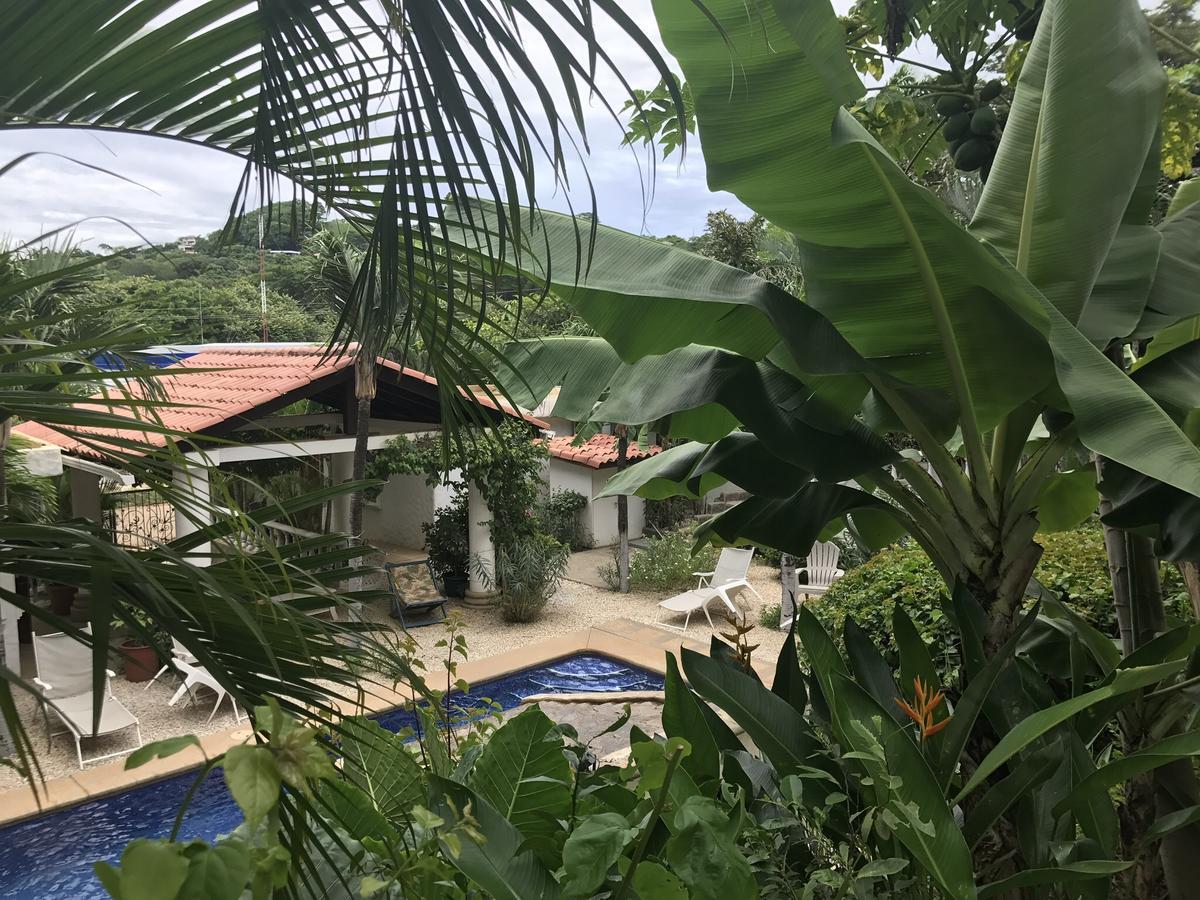 Aparthotel Flores (adults Only)