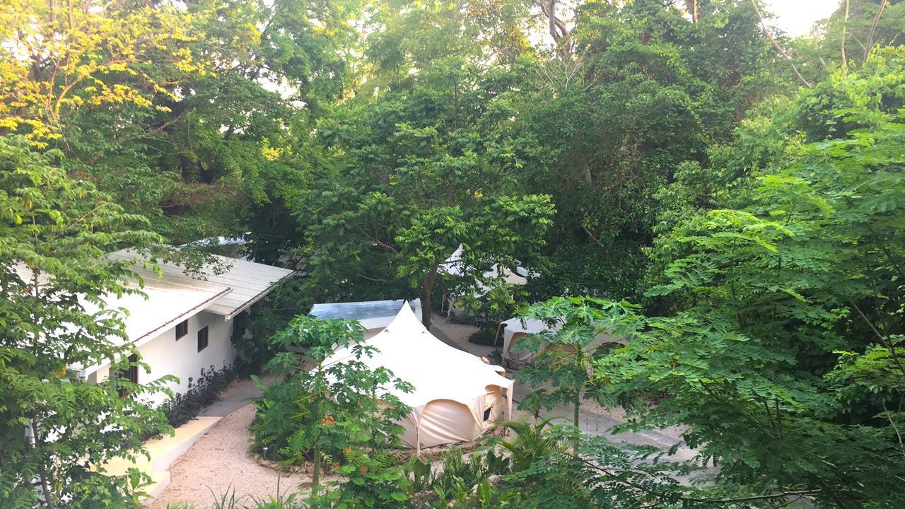 Luxury tent Driftwood Glamping & Boutique 2*