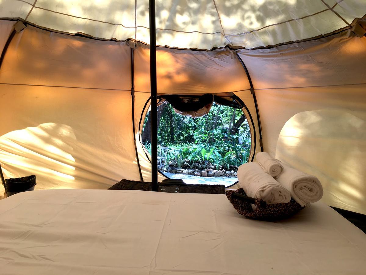 Driftwood Glamping & Boutique