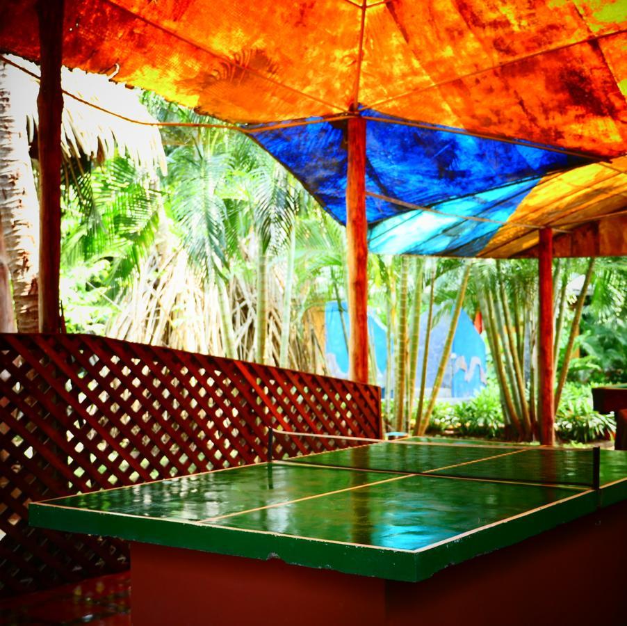 Flying Crocodile Hotel
