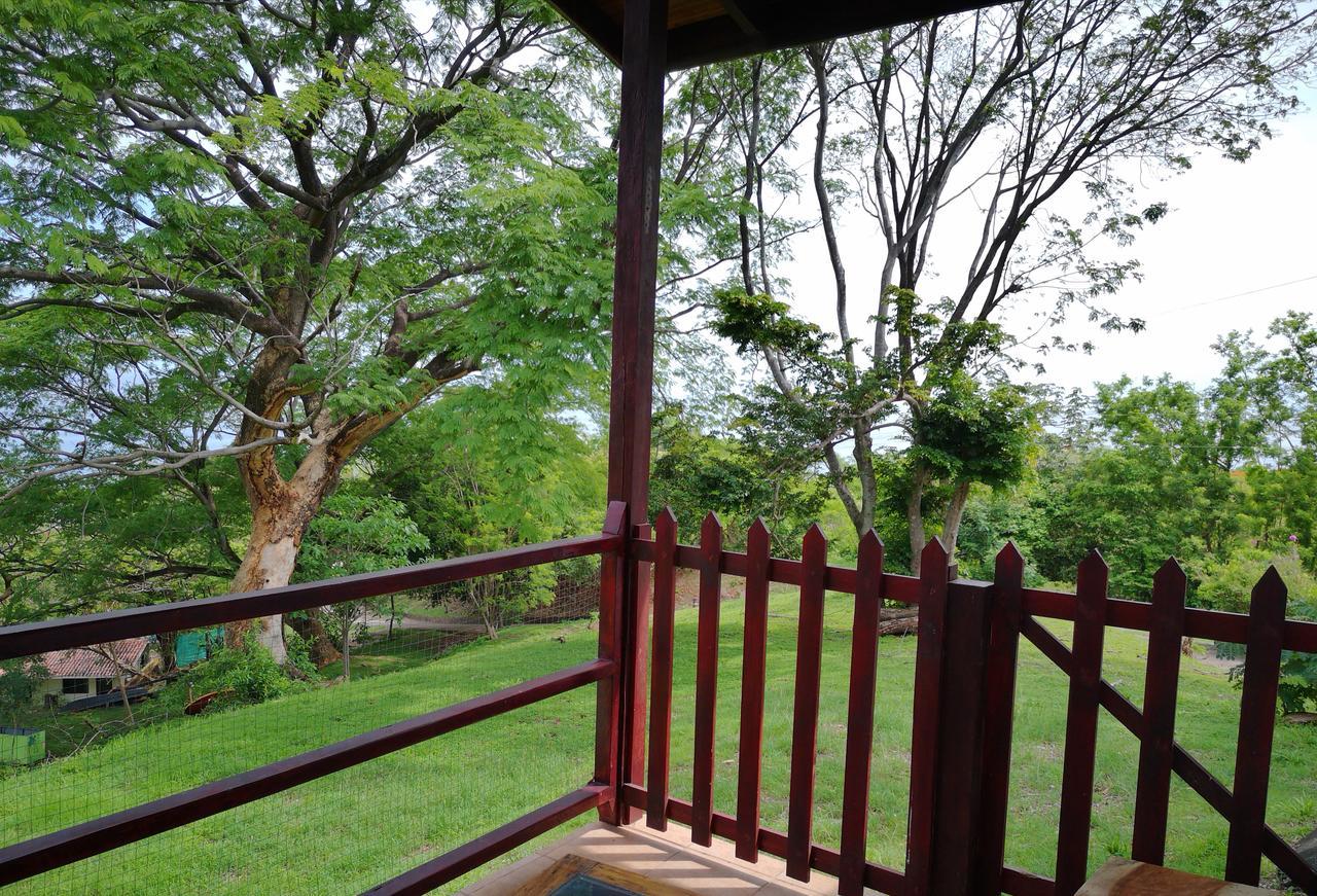 Casandreas GUANACASTE