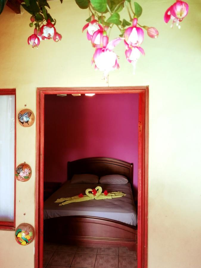 El Jardin Jaco