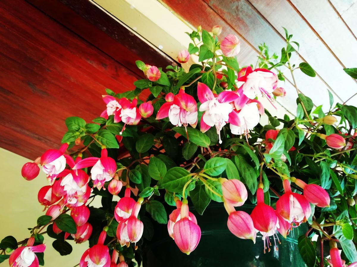 Hotel El Jardin
