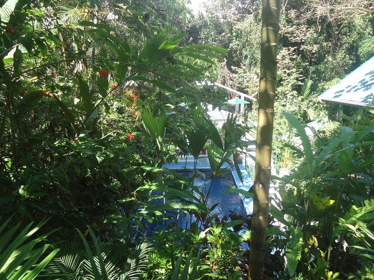 Mandarina 3* Quepos