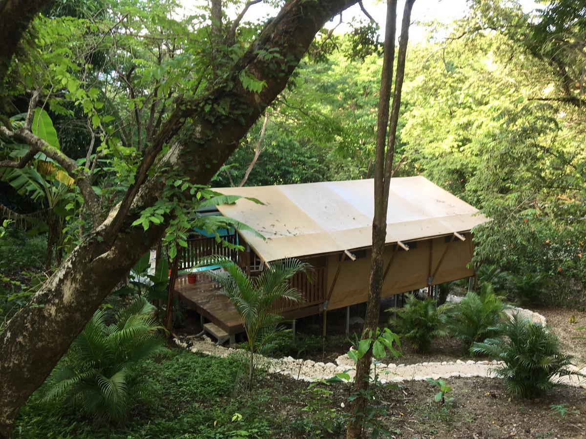 Casa Maya Lodge Samara
