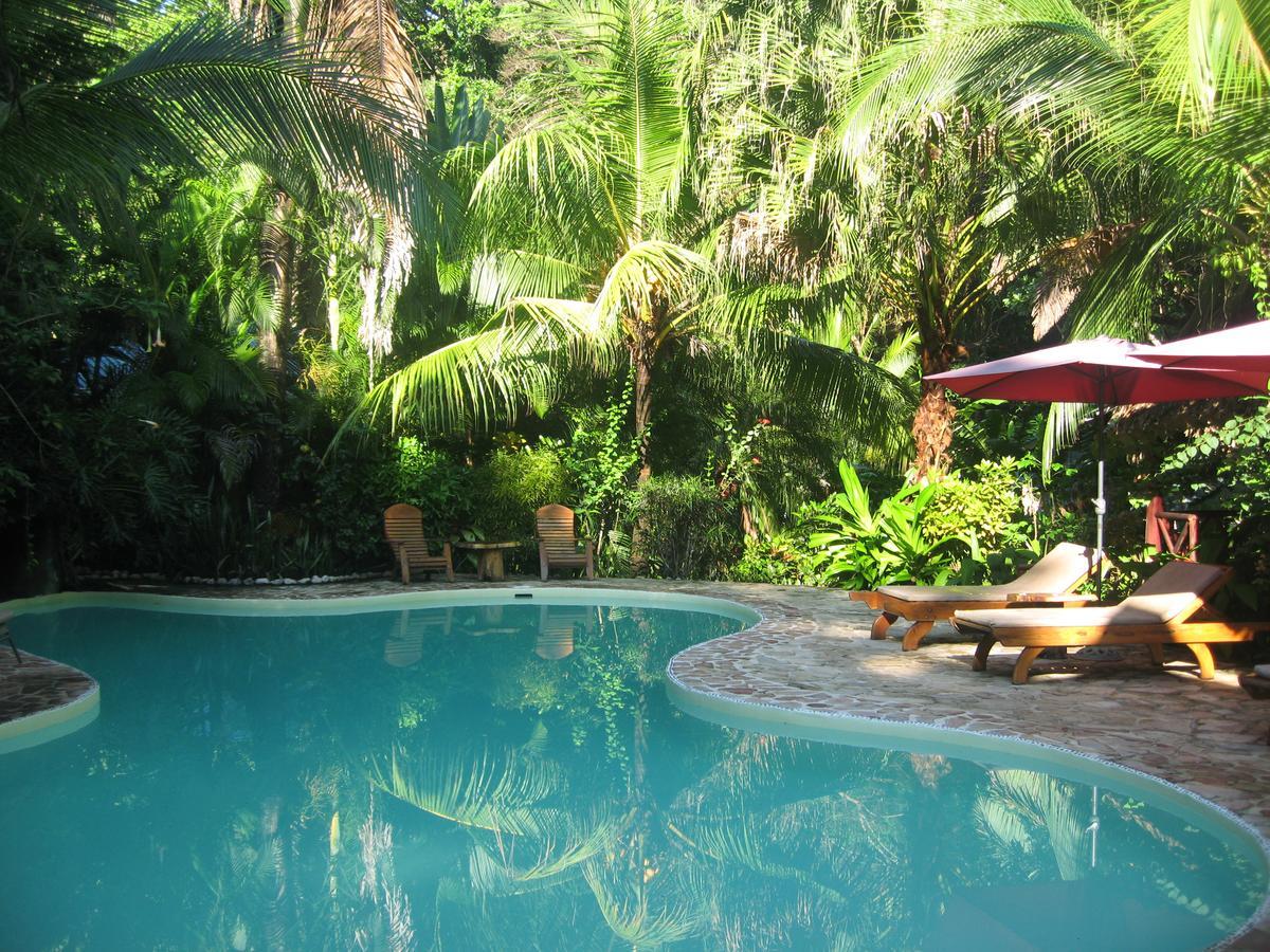El Pequeno Gecko Hotel