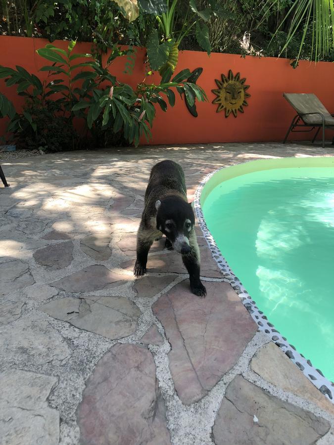 El Pequeno Gecko Hotel 3*