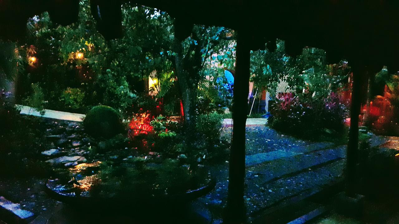 Casa Mare Nostrvm Bed & Breakfast Manuel Antonio