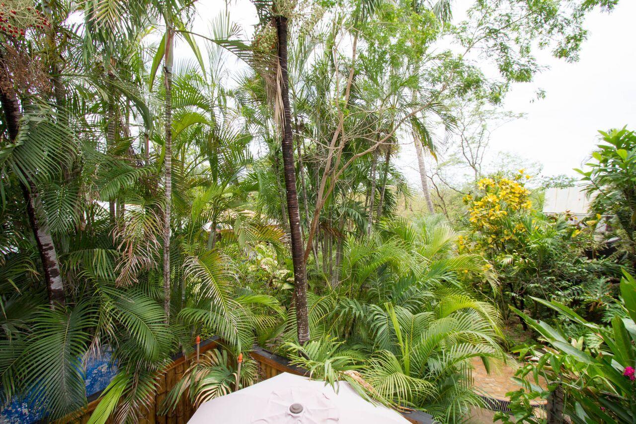 Hotel Tamarindo Village Hotel