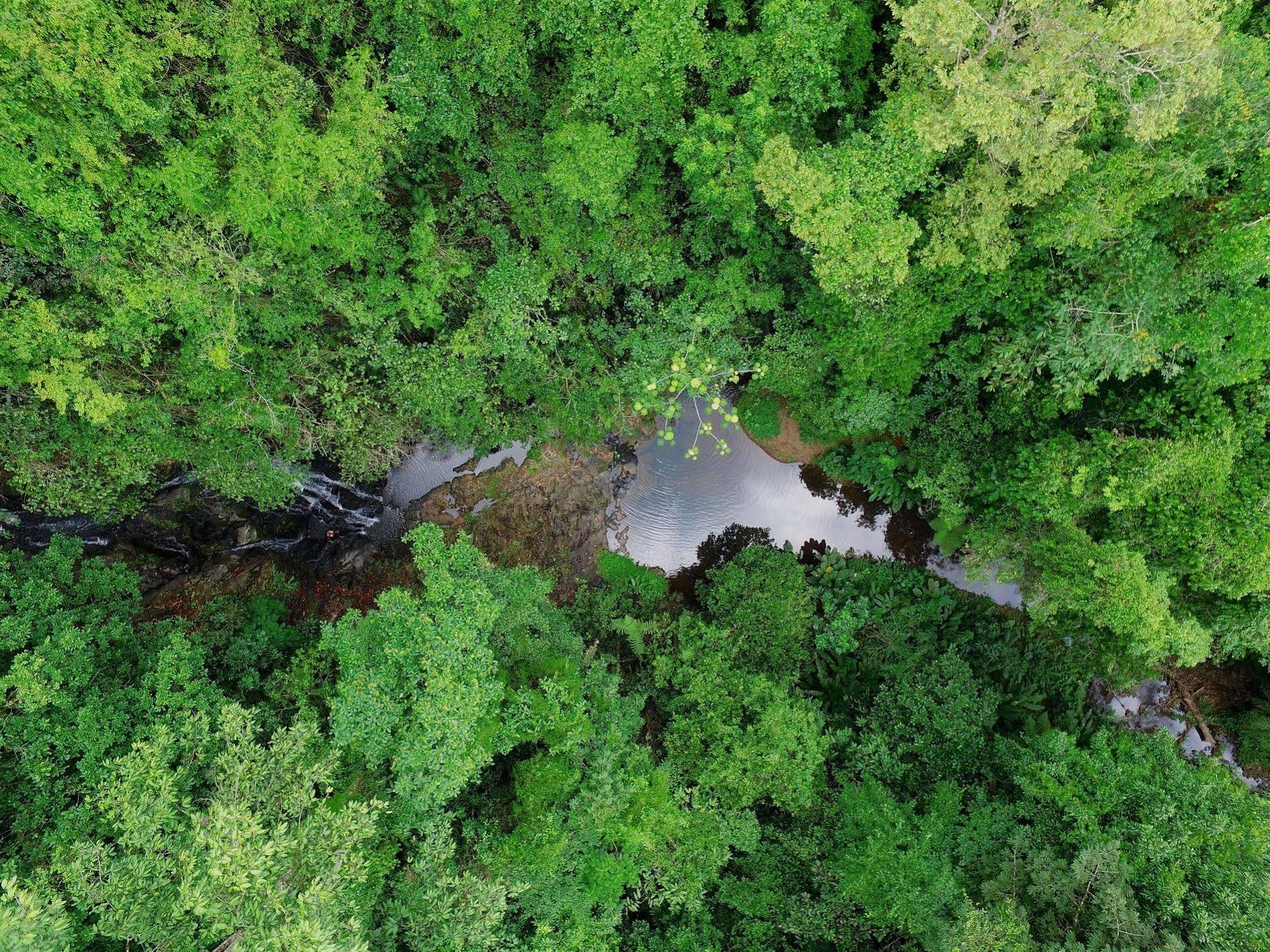 Macaw Lodge Carara