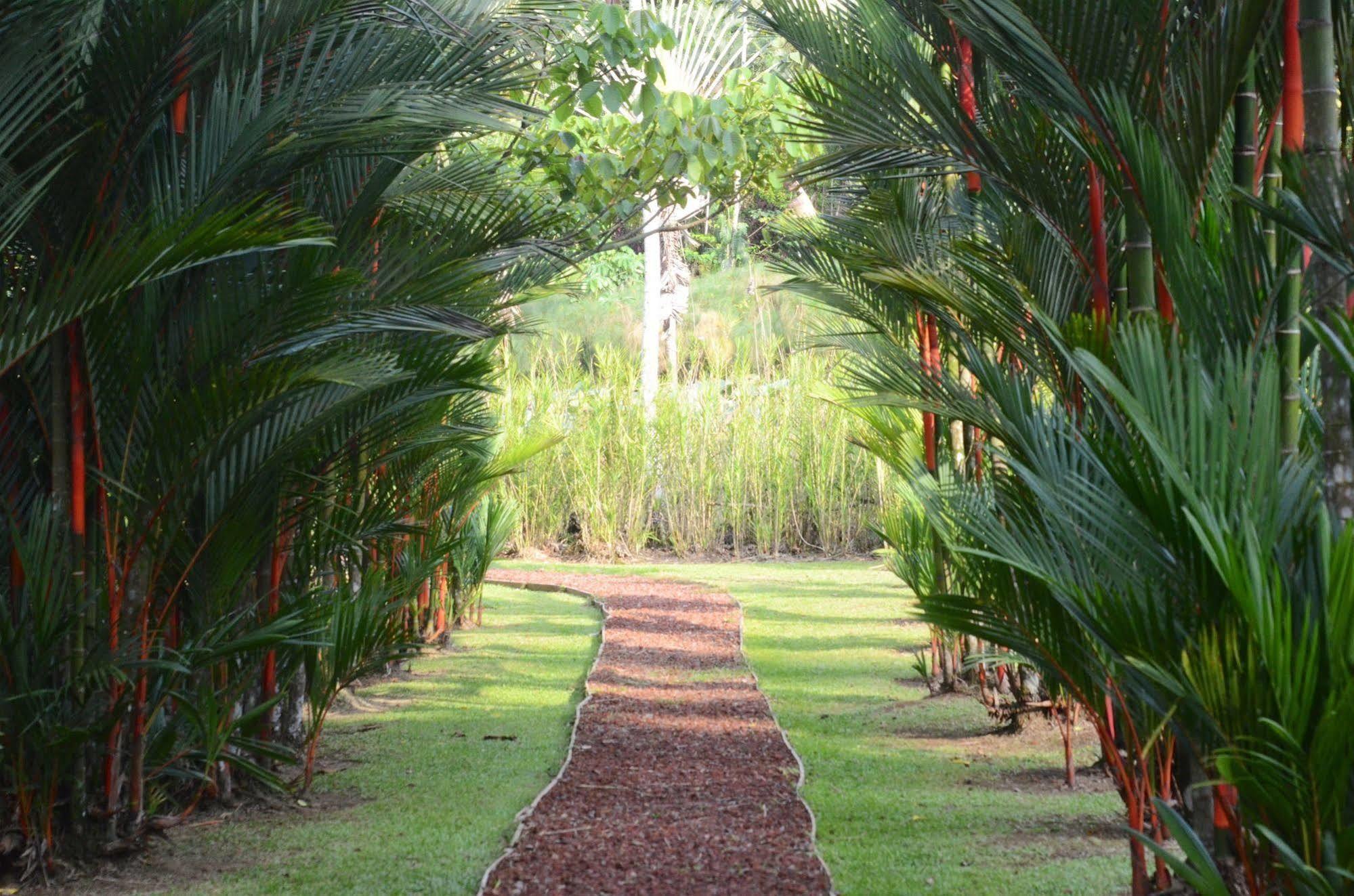 Macaw Lodge Carara