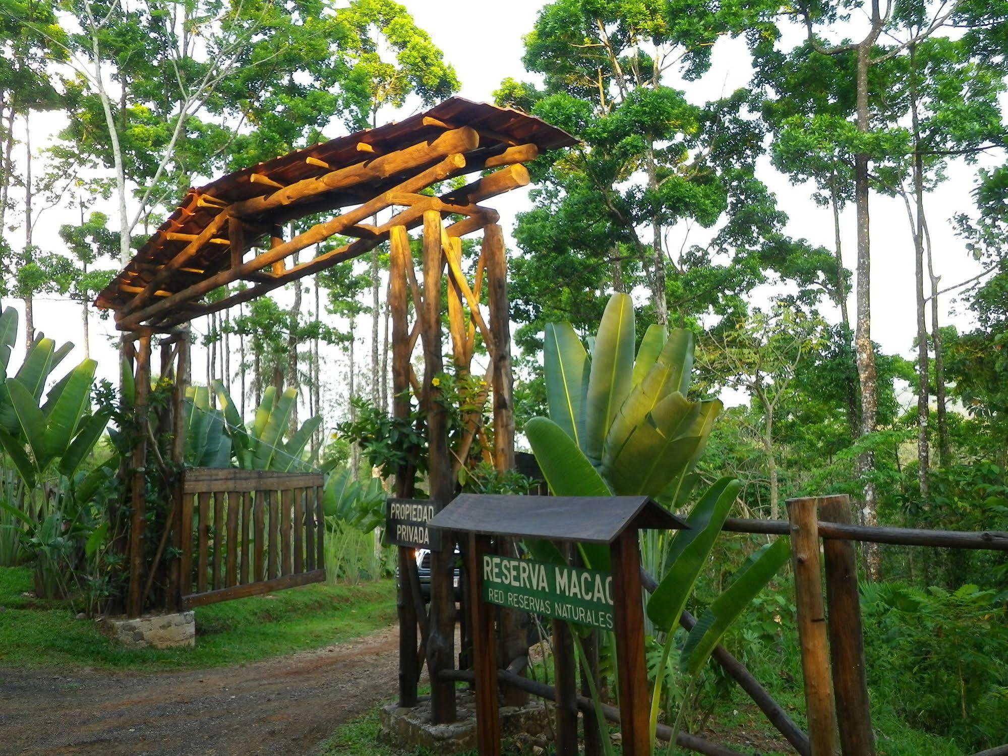 Macaw * Carara