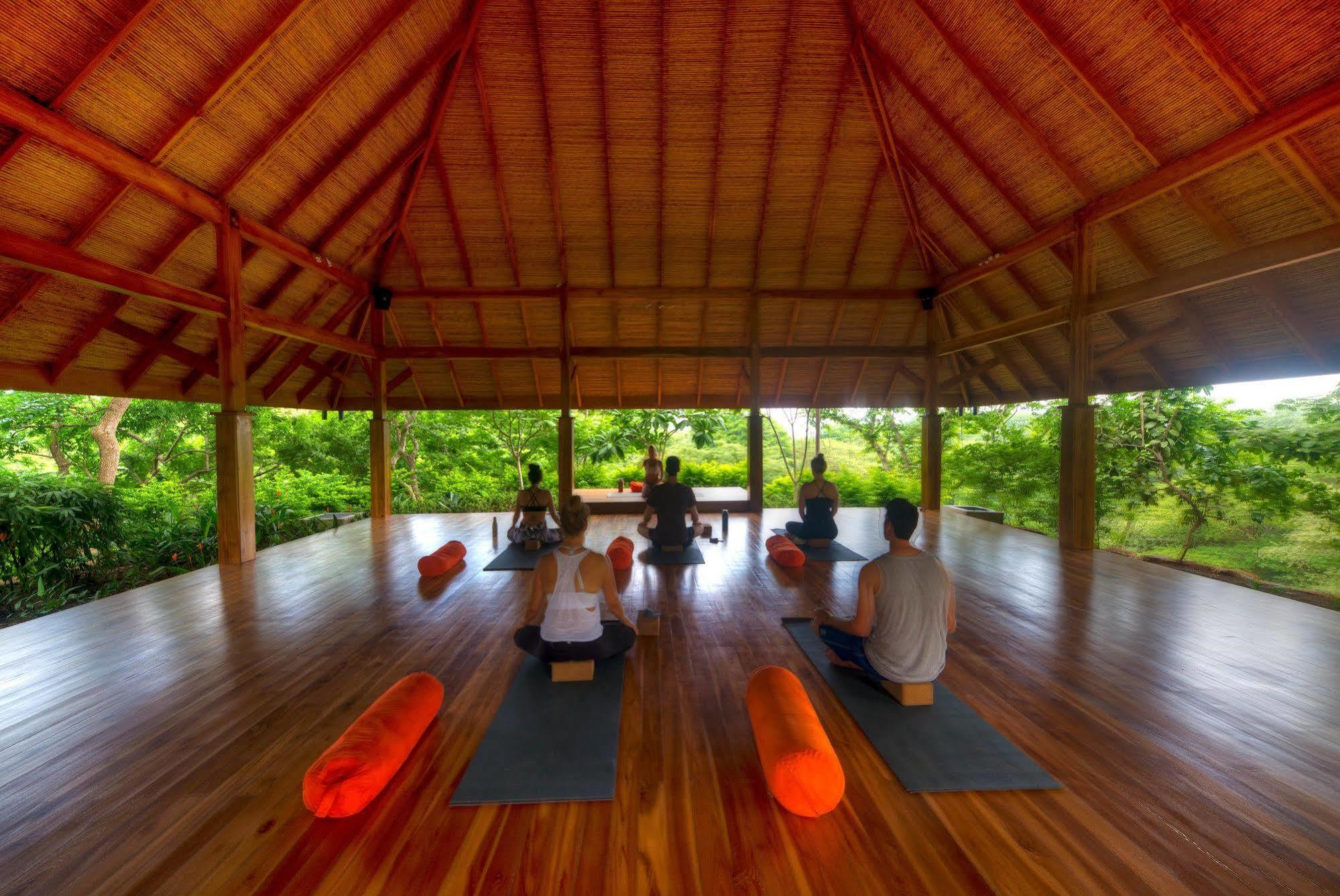 Bodhi Tree Yoga