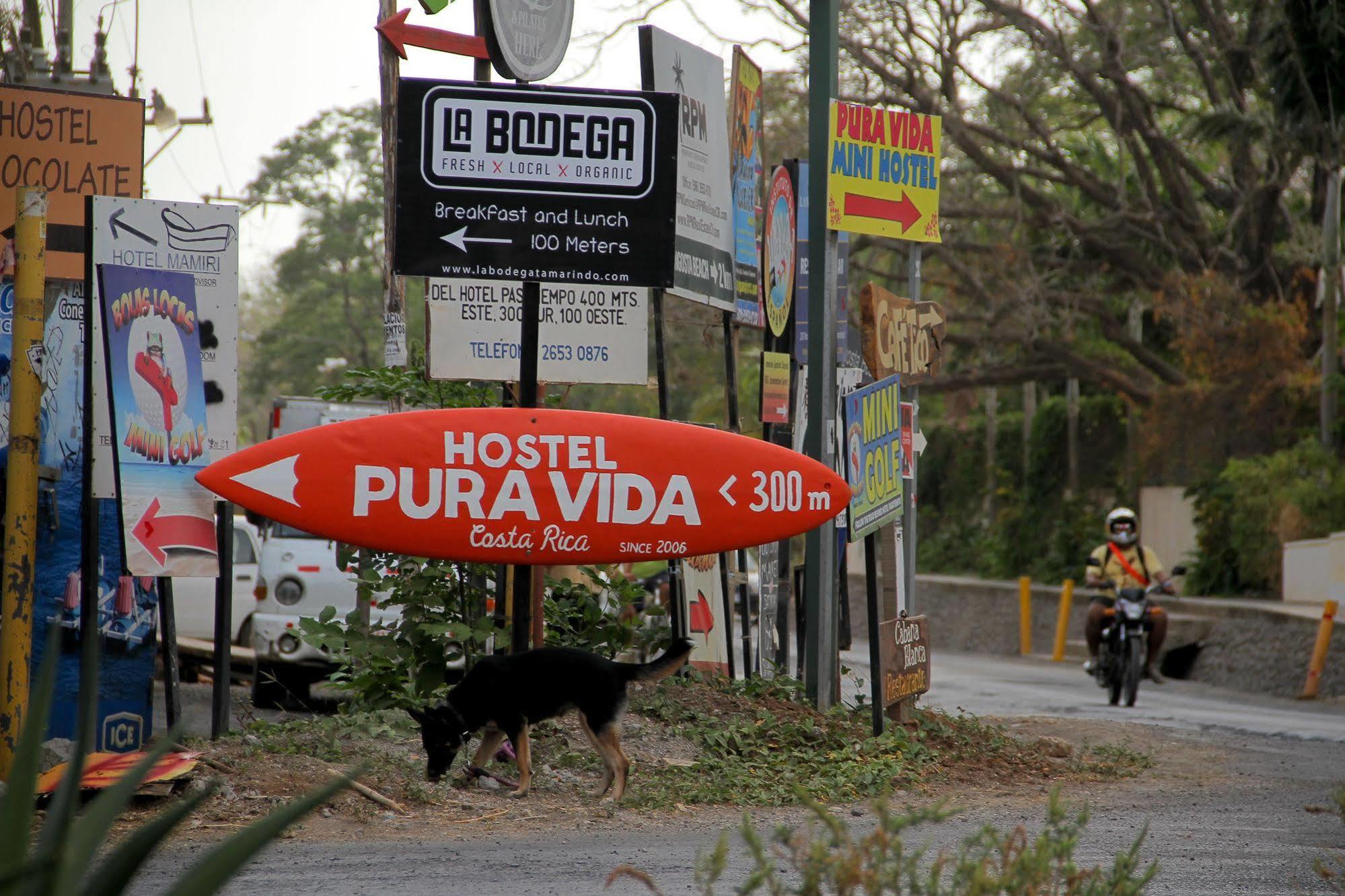 Pura Vida Hostel