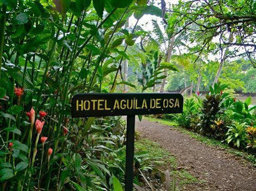 Aguila De Osa Rainforest Hotel Drake Bay