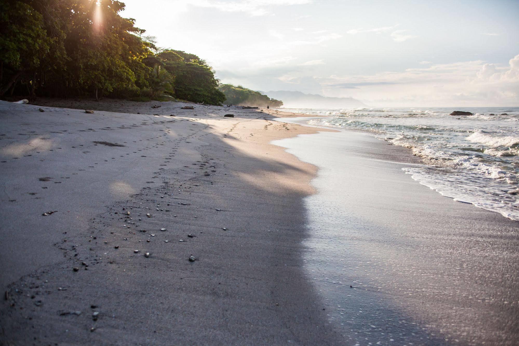 Hotel Latitude 10 Exclusive Beach Playa Santa Teresa (Puntarenas)