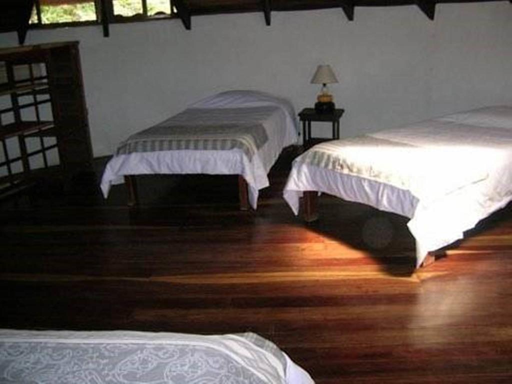 Mamiri Tamarindo