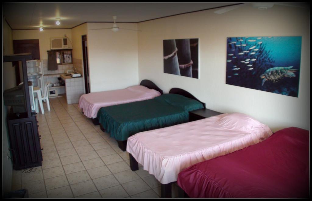 Blue Palm Hotel 2*