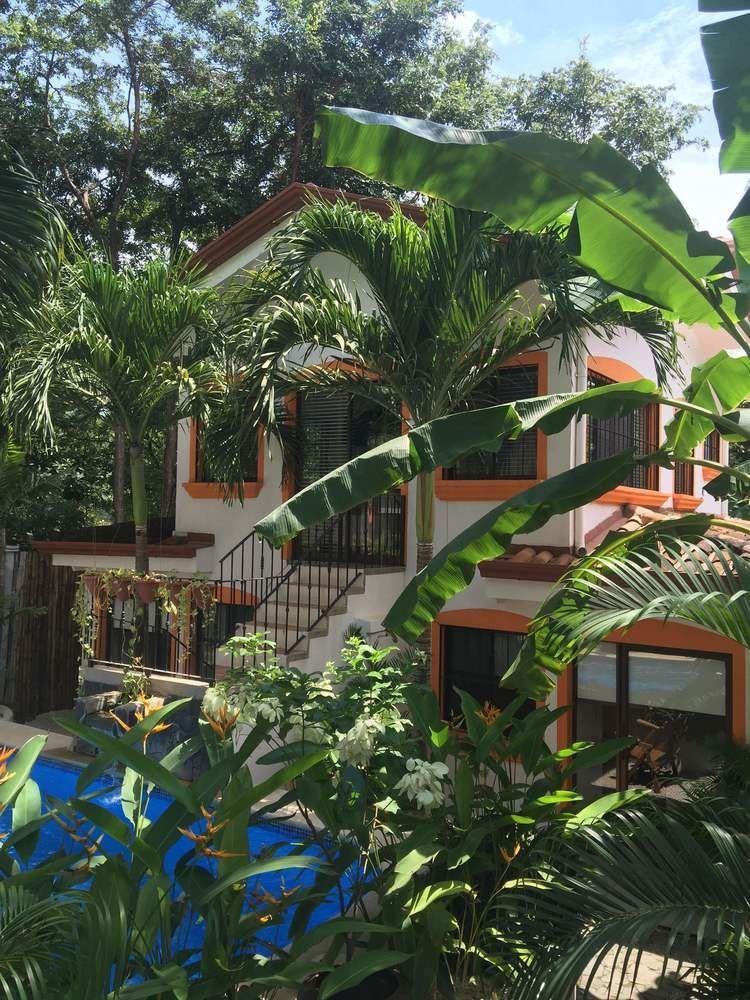 Gardenia Tamarindo
