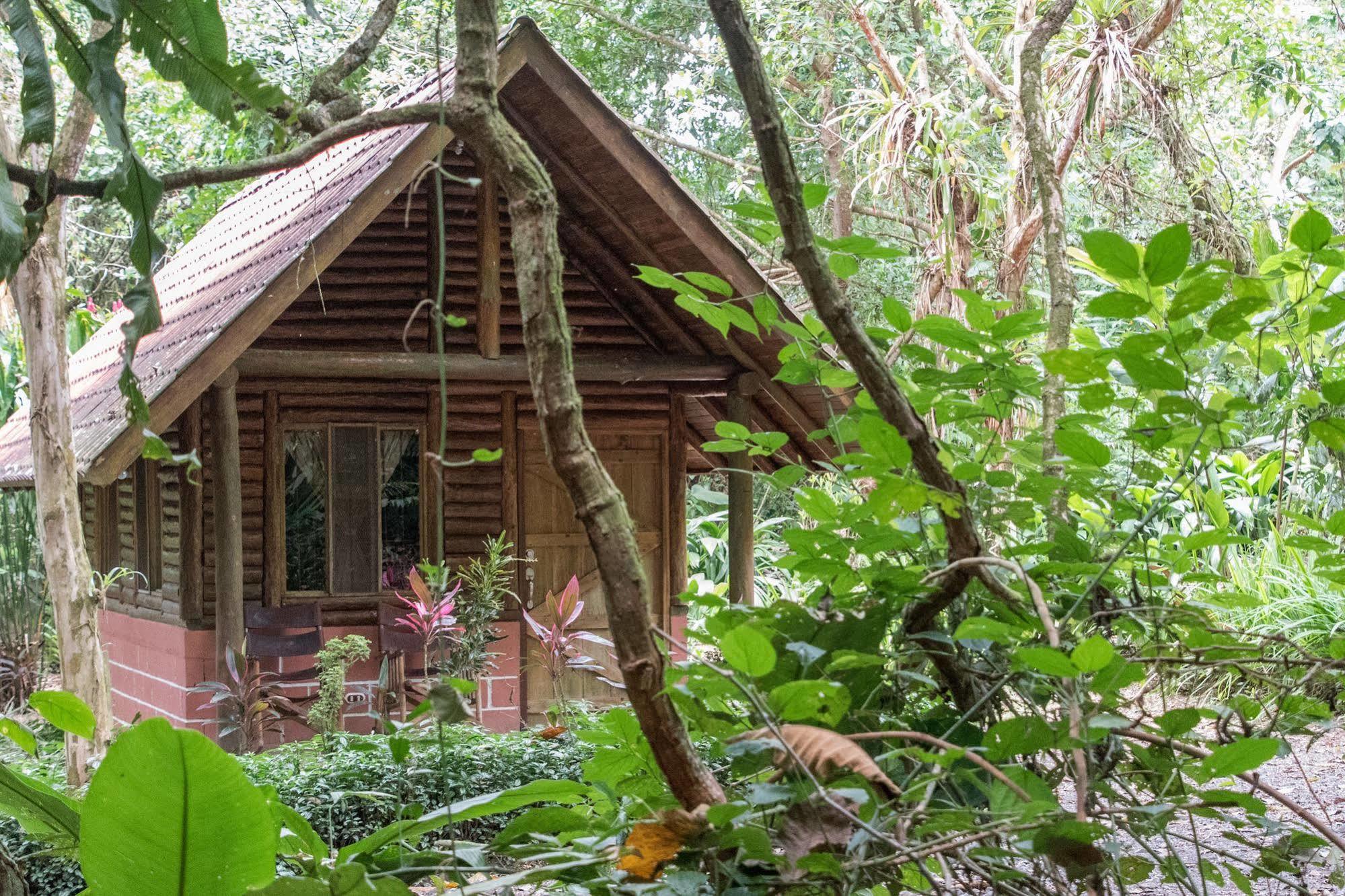 Arenal Oasis